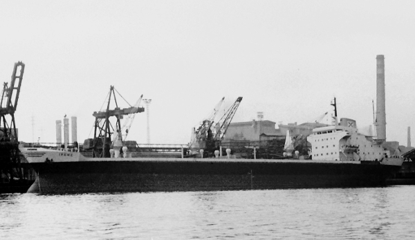 Irene por J.A. Llebrs