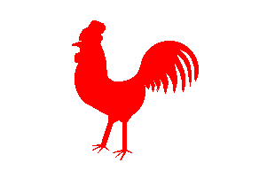 Flag by Aingeru Astui