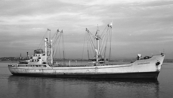Navalhorno por T. Diedrich
