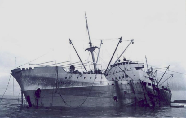 Antartico - Coleccin de P. Blanco