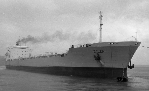 Galea by T. Diedrich