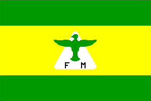 Flag by Aingeru Astui