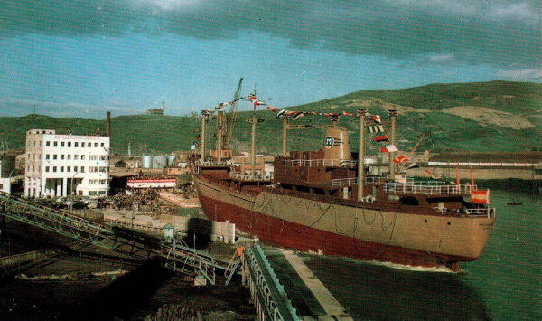 Picoverde - Colecci�n de J. Careaga