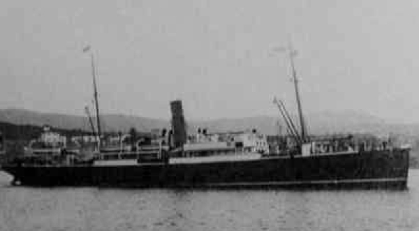 Delfin - Un Siglo con la Marina Mercante 1895-1995