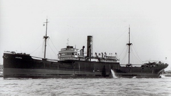 Urumea - Coleccin de G. Robinson