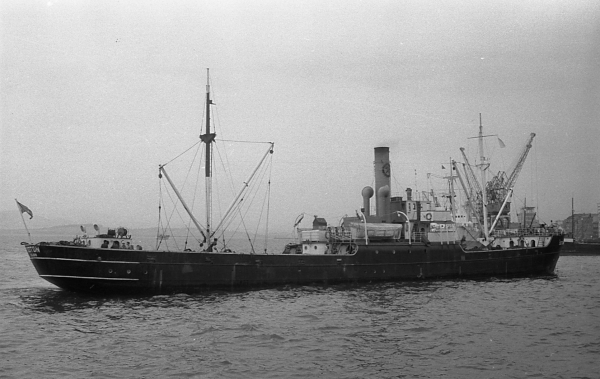 Soton by T. Diedrich